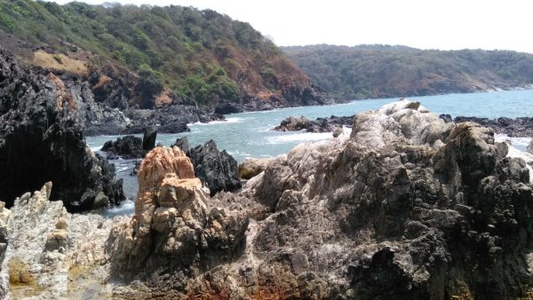 WhatsApp Image 2021-09-29 at 3.38.36 PM