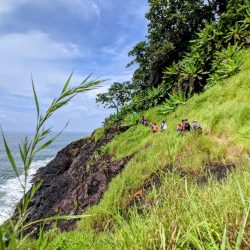 PXL_20210926_060420452_2