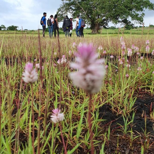 WhatsApp Image 2021-09-21 at 9.31.14 PM