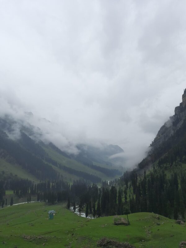 20210721_094839_Original