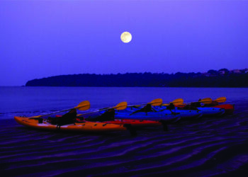 Moonlight Kayaking