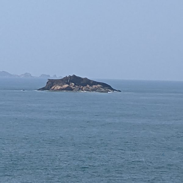 PXL_20210425_043354888.MP
