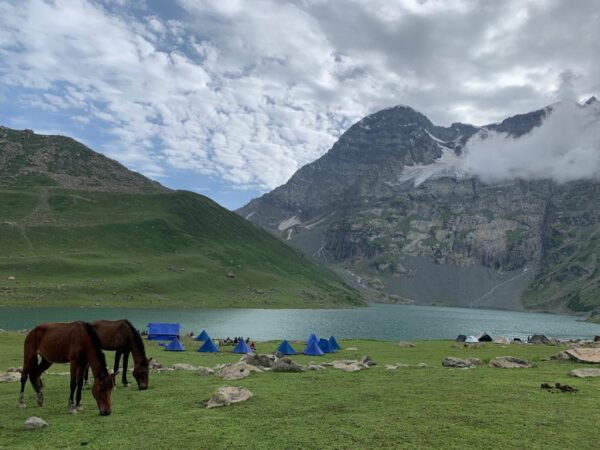 326097c7-9f12-4a44-90b9-cfa142d44560