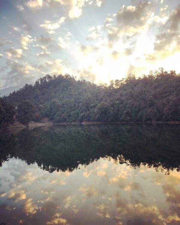 731293AA-BC6E-4B2D-AC0C-B74B85E5DD03_Original