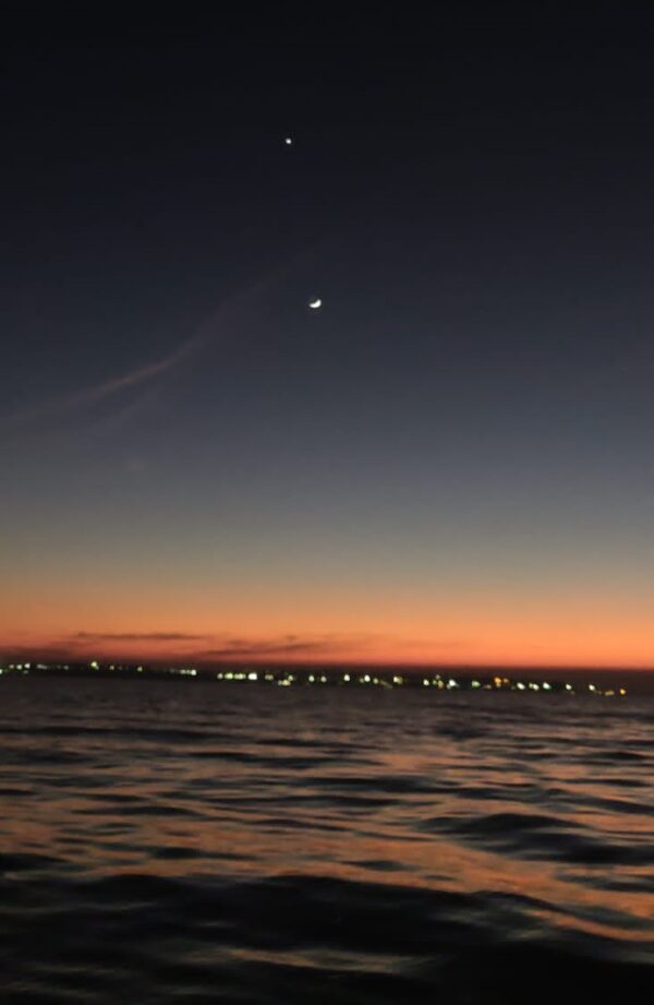 IMG-20211211-WA0004