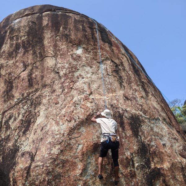 IMG-20221105-WA0008