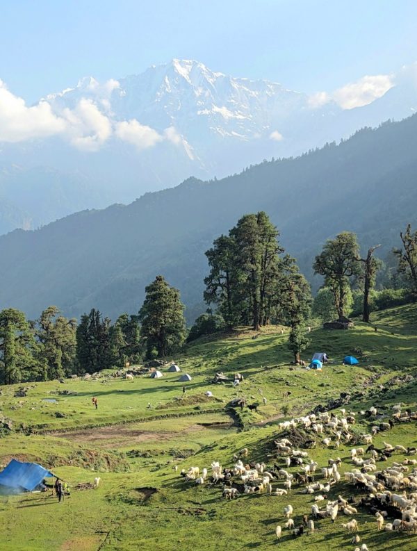 Screenshot_20240718_152421_Docs