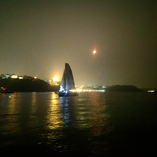 IMG_20230312_011735_436